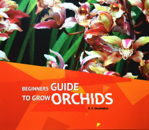 Beginners Guide to Grow Orchids