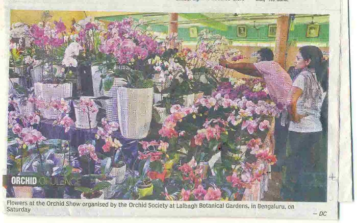DeccanChronicle_22nd