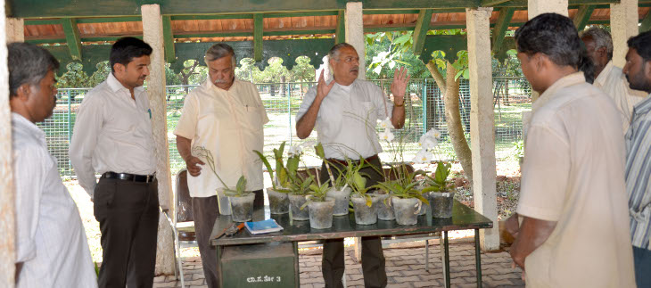 TOSKAR members explaining the staff about orchids