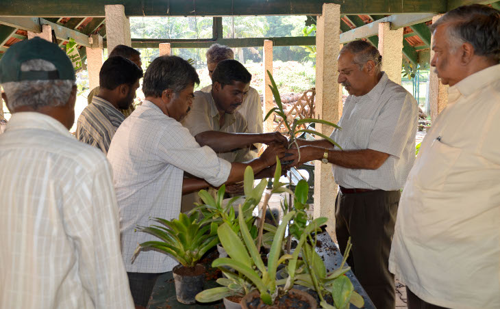 Staff potting orchids with the help of TOSKAR members
