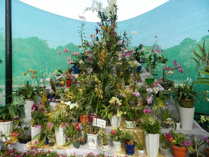 TOSKAR at Lal Bagh Flower Show January 2014